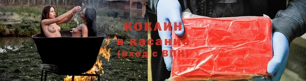 2c-b Инсар