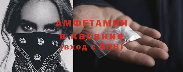 2c-b Инсар