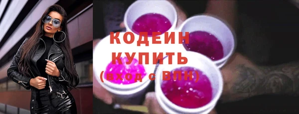 2c-b Инсар