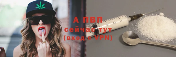 2c-b Инсар