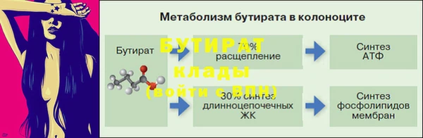 2c-b Инсар