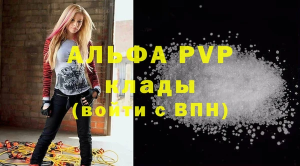 2c-b Инсар