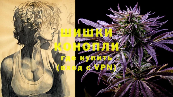 2c-b Инсар