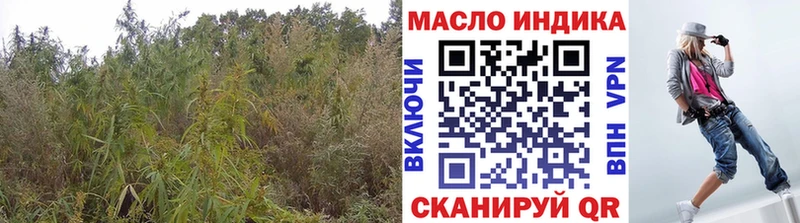 Купить закладки Ветлуга ТГК гашишное масло