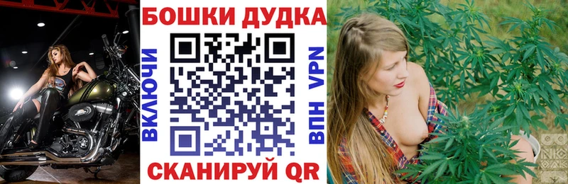 Бошки марихуана Bruce Banner  Купить  Ветлуга 